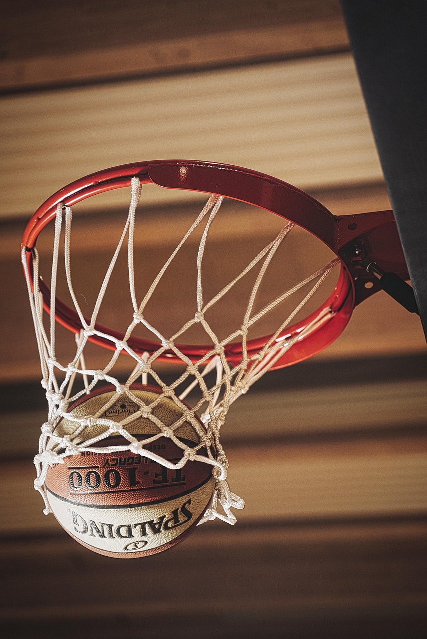 SPORTS COURT (BASKETBALL)