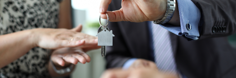 Building Strong Vendor Relationships for Business Success